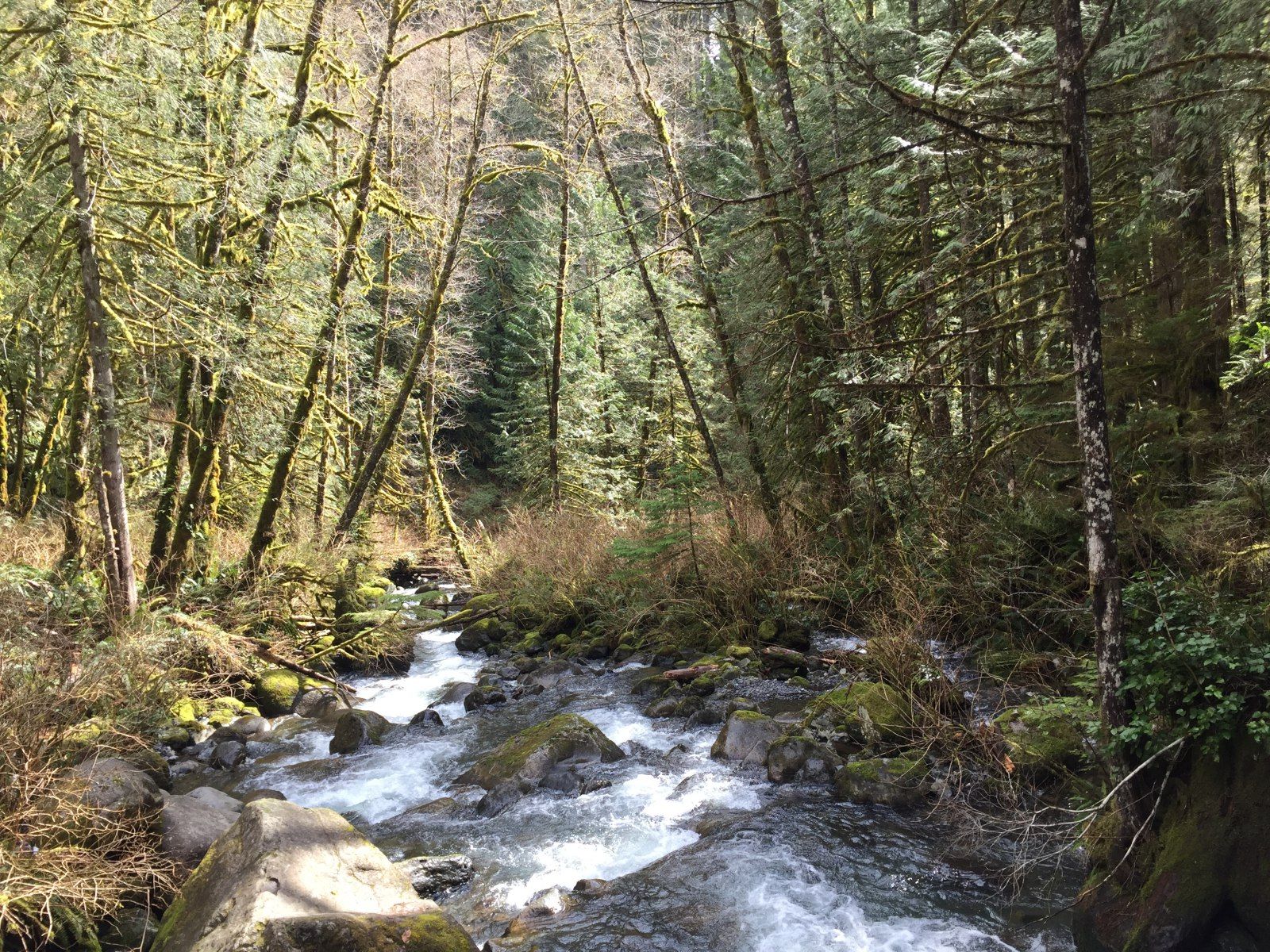 Wallace Falls State Park matkarada