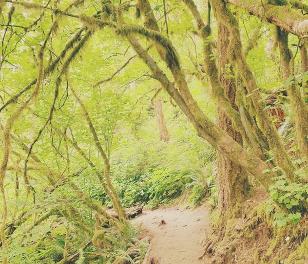 Matka eri: Rattlesnake Ledge